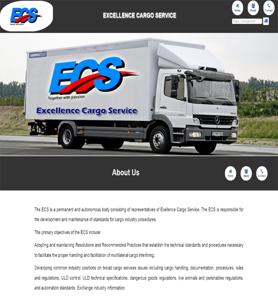 EXCELLENCE CARGO SERVICE</h1>